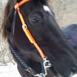 Meet your Posher, Teresa